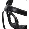 Uzdečka Salerno QHP, black (Velikost PONY)