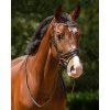 Uzdečka Orlando QHP, black/brown (Velikost COB)