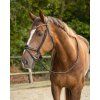 Uzdečka Orlando QHP, black/brown (Velikost COB)