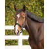 Ohlávka Deluxe QHP, black (Velikost PONY)