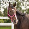 Ohlávka Deluxe QHP, pink (Velikost PONY)