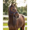 Ohlávka Deluxe QHP, navy (Velikost PONY)