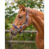 Ohlávka Lined QHP, blue (Velikost PONY)