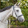 Bezudidlová uzdečka Sunna QHP, black (Velikost PONY)