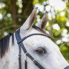 Bezudidlová uzdečka Sunna QHP, black (Velikost PONY)