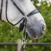 Bezudidlová uzdečka Sunna QHP, black (Velikost PONY)