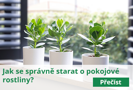 Z lásky k vašim rostlinám