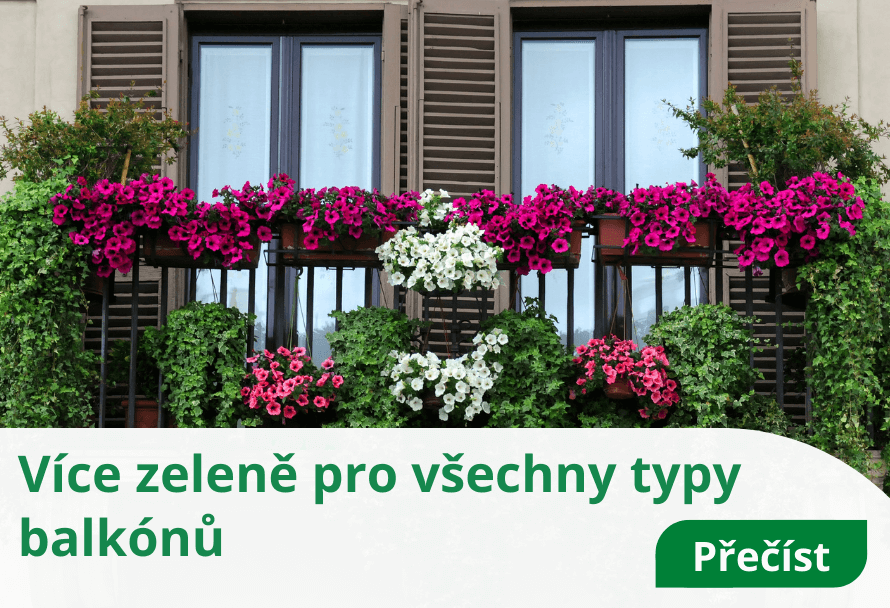 Více zeleně pro všechny typy balkónů