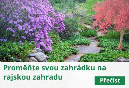 Proměňte svou zahrádku na rajskou zahradu