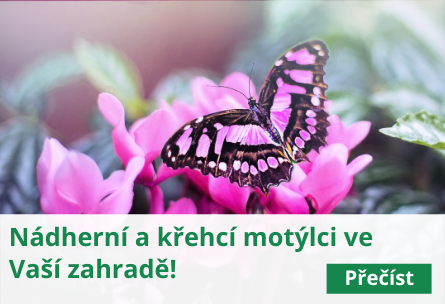 Motýlí zahrada