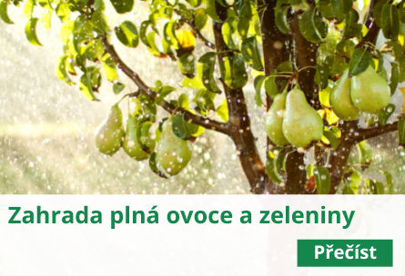 Zahrada plná ovoce a zeleniny
