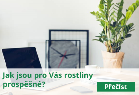 Proč jsou pro Vás rostliny prospěšné?