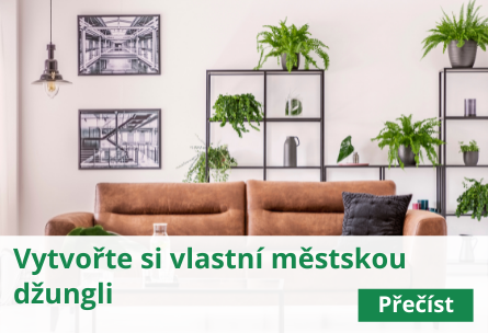 Vytvořte si vlastní městskou džungli