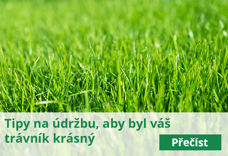 Tipy na údržbu, aby byl váš trávník krásný