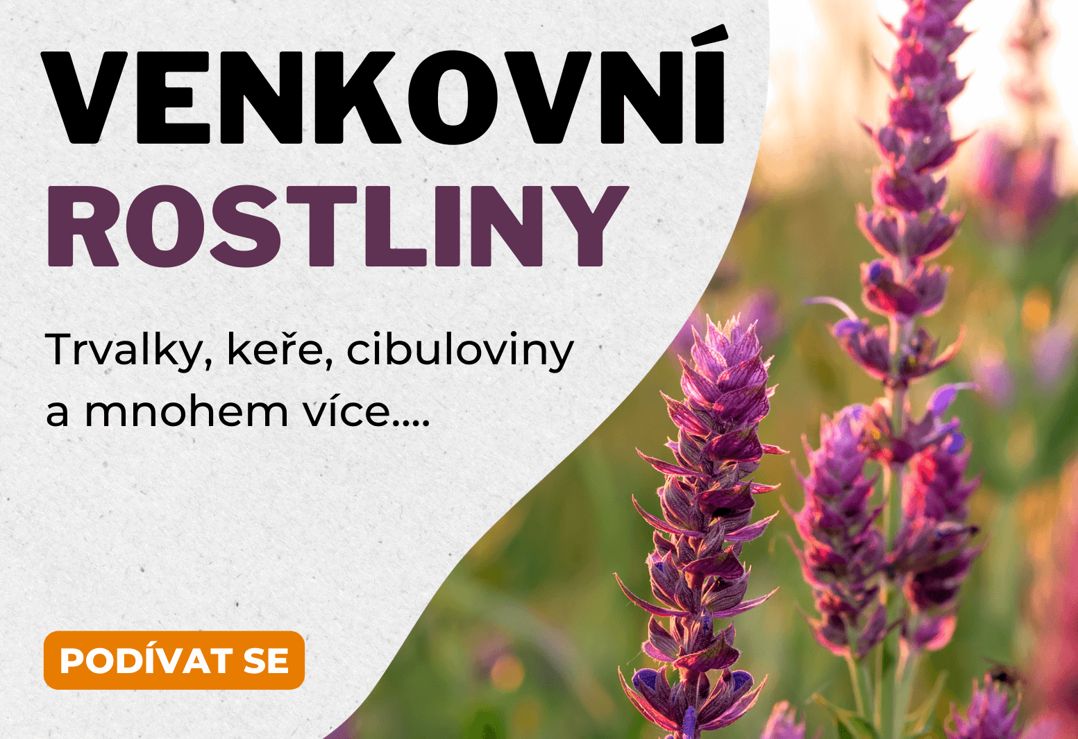 Hlavní banner