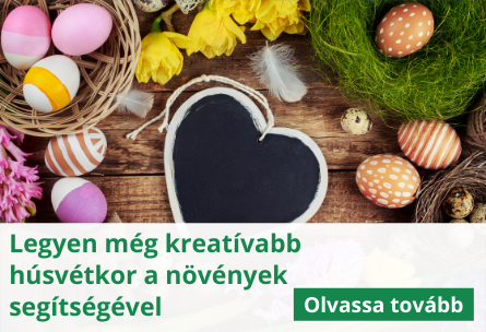 Legyen még kreatívabb húsvétkor a növények segítségével