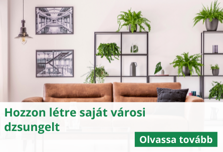 Hozzon létre saját városi dzsungelt