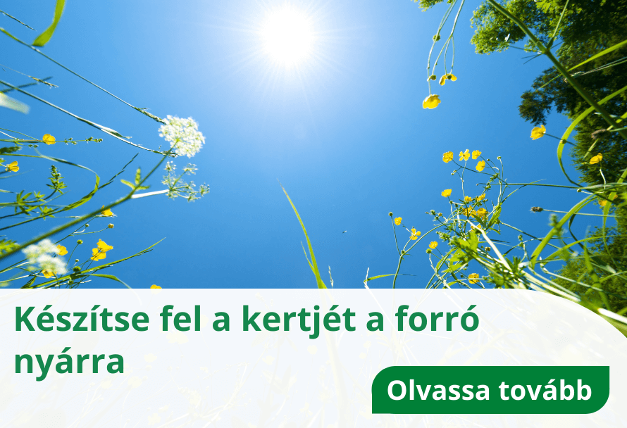 Készítse fel a kertjét a forró nyárra