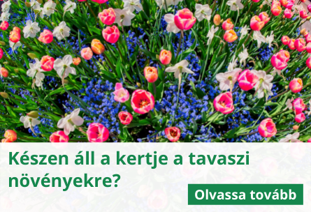 Készen áll a kertje a tavaszi növényekre?