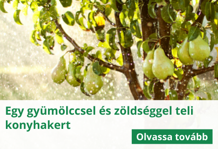 Egy gyümölccsel és zöldséggel teli konyhakert