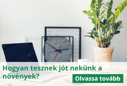 Növényterápia a pihenéshez