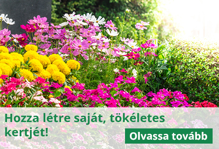 Hozza létre saját, tökéletes kertjét!