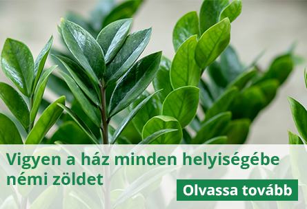 Tegye zöldebbé otthonát