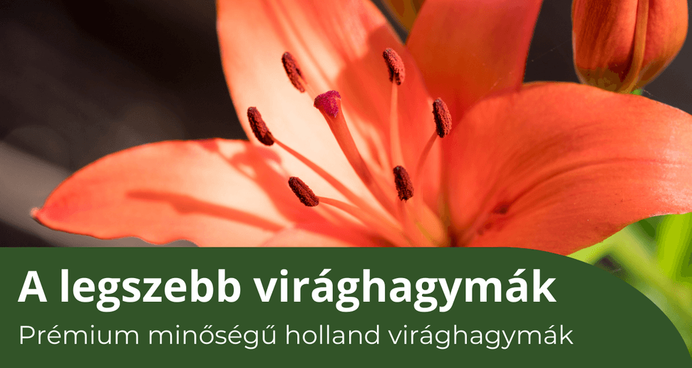 Műnövények