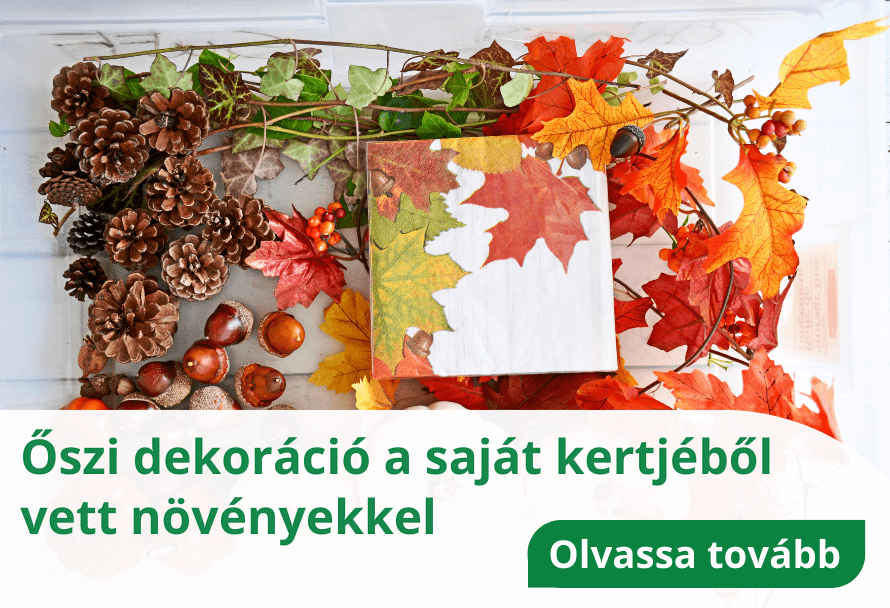 Tanácsok & inspirációk 3