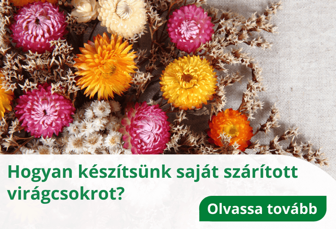 Tanácsok & inspirációk 1