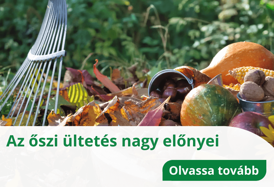 Tanácsok & inspirációk 2