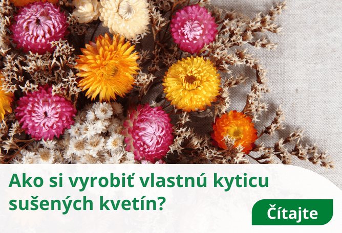 Ako si vyrobiť vlastnú kyticu sušených kvetín?