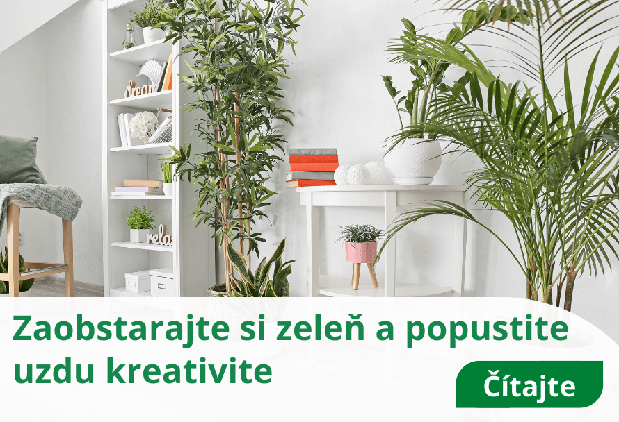 Zaobstarajte si zeleň a popustite uzdu kreativite