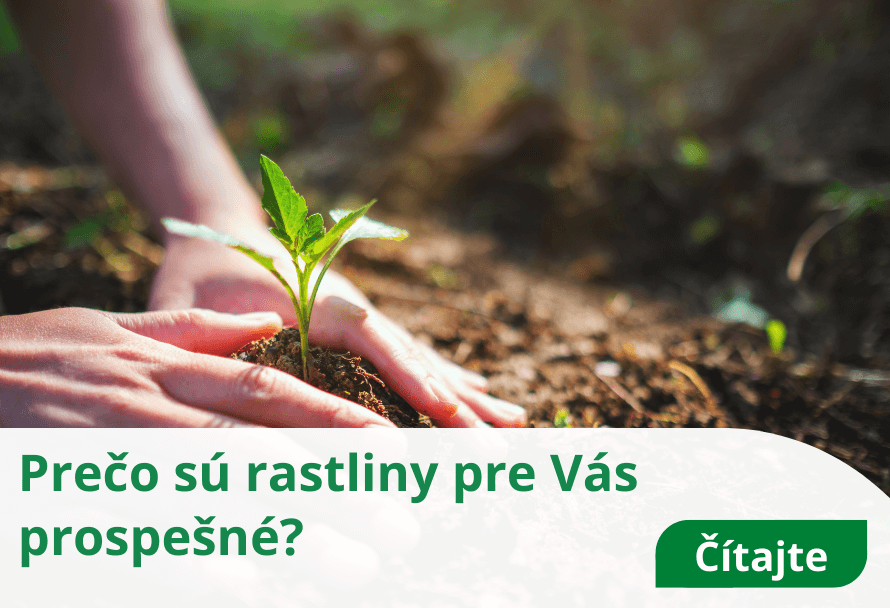 Prečo sú rastliny pre Vás prospešné?