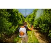 3510637 6 zadovy postrikovac villager ps 15 e