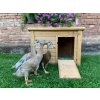 3511460 1 kachnik kerbl duck town