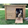 3511460 2 kachnik kerbl duck town