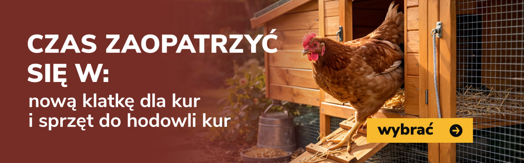 Banner kurniki dla kur