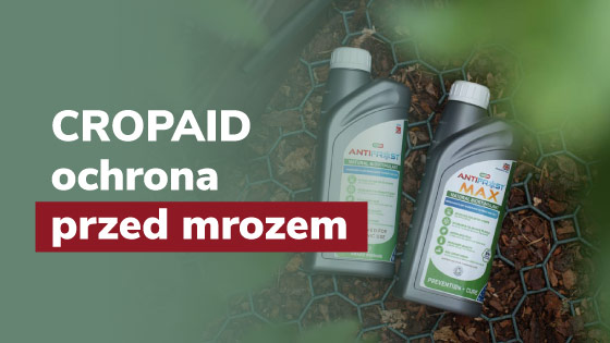 blog-cropaid