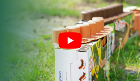banner-video-palisady