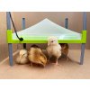 5 Piastra riscaldante Caleo River Systems w skali