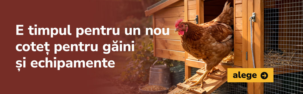 creșterea animalelor