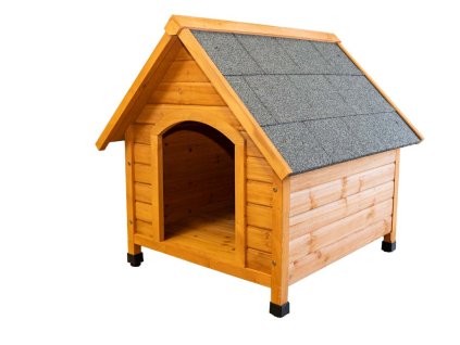 câini kenniva beta 9 kennel