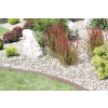 Aranjament Palisade IPAK2 02