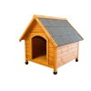 câini kenniva beta 9 kennel