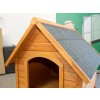 câini kenniva beta 12 kennel