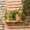 Rafturile pentru cuferele din lemn sunt acoperite cu larix