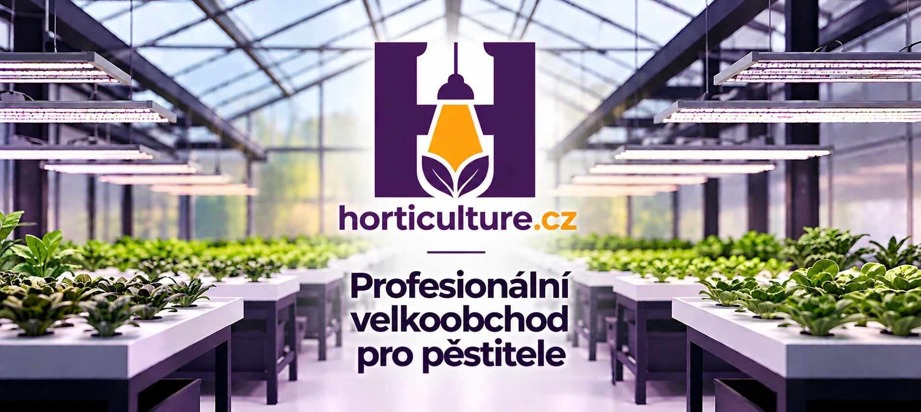 Profi