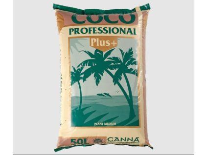 CAS6050