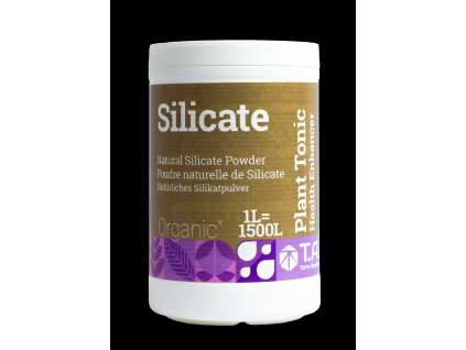 silicate 1L